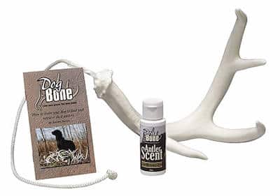 Shed hunting training kit for dogs