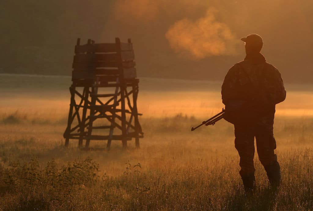 A hunter approaching a deer stand with a gun in his hands at sunset
