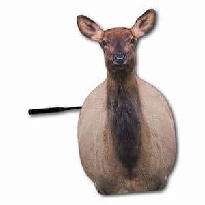 Cow elk decoy display