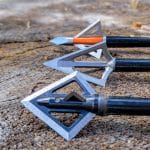 Three deer broadheads laid across a tree stump on a 2022 elk and deer hunt