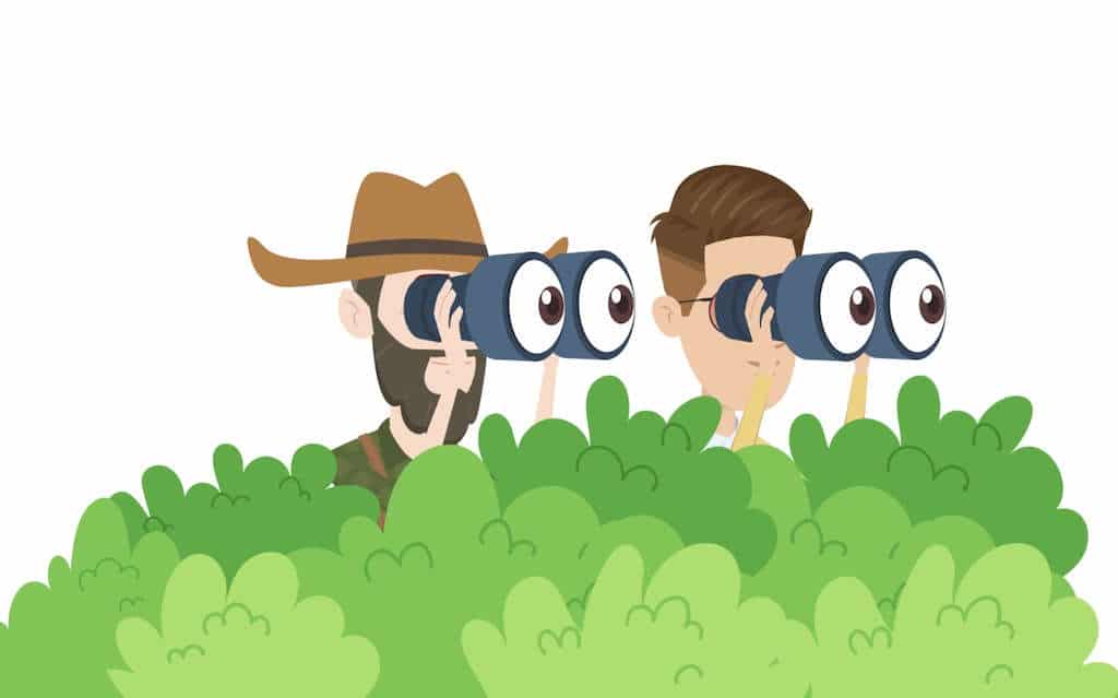 Two men in the bushes looking through binoculars