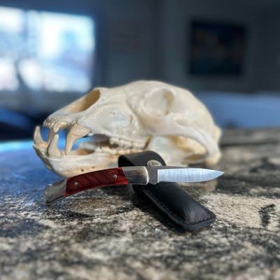 Buck Squire Bear Skull