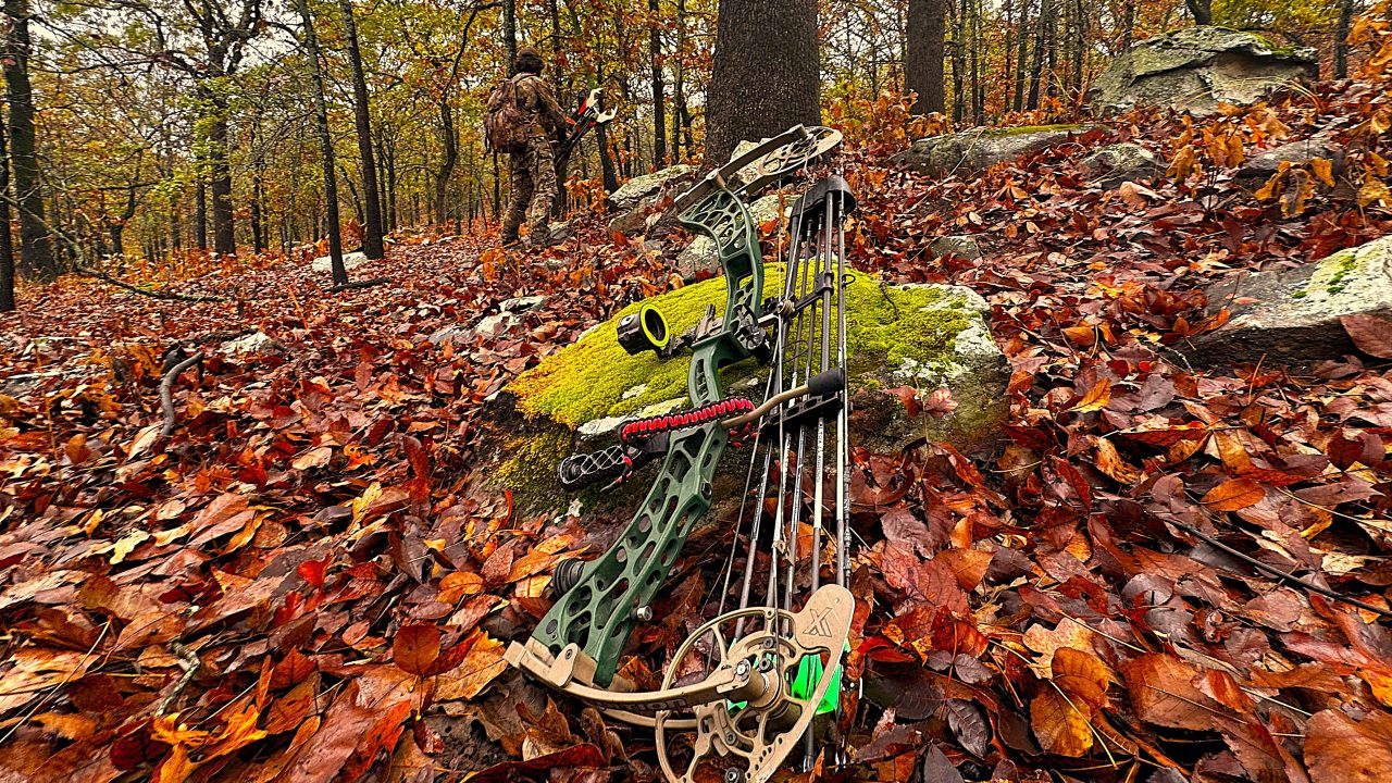 xpedition archery bow