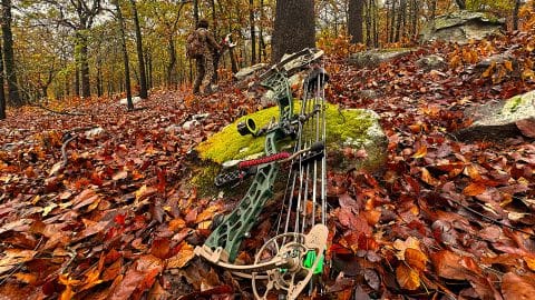 xpedition archery bow