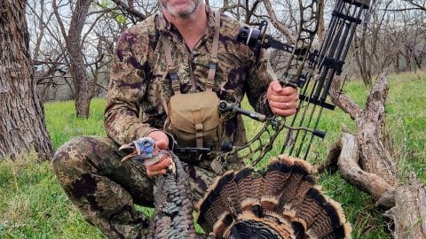rio turkey hunting