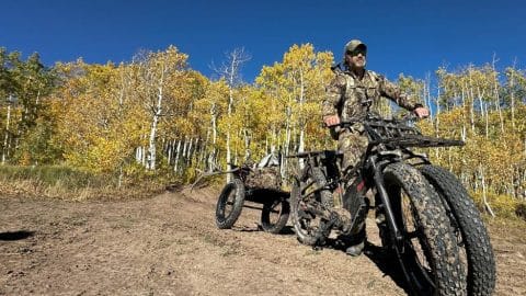 man on dual wheel electric bike tows an elk carcass in the trailer