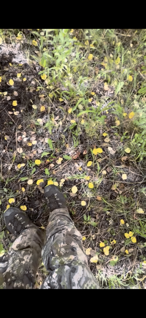 Sparse elk blood spattered across fallen aspen leaves beside a bowhunter's boots on a Colorado mountainside