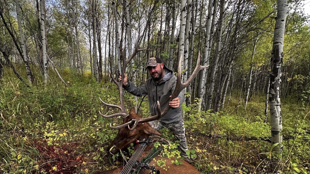 Final Stalk cofounder Moose with a bull elk taken using a mechanical broadhead in a Colorado aspen stand