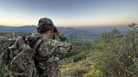 Elk hunter glassing at sunrise across open Colorado backcountry during archery elk season